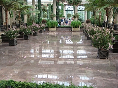 258 Longwood Gardens [2008 August 23]